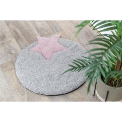 Trixie chiot ligmat star gris lilas