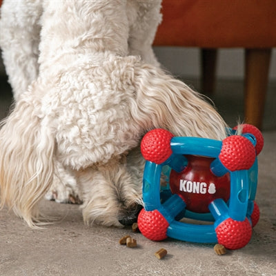 Kong récompense bricoleur