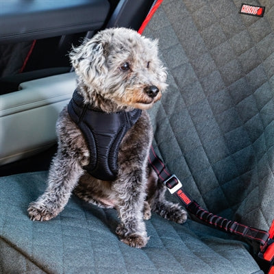 Kong Car Belt Dog Deluxe pivotant
