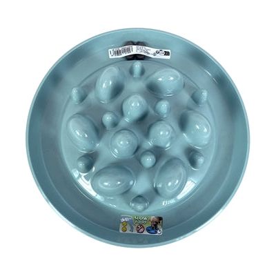 Heureux animal de compagnie fou des animaux alimentant le cactus seau lent mangeur lent bleu clair