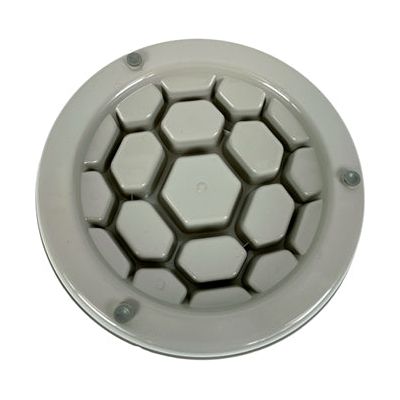 Heureux animal de compagnie fou des animaux de compagnie alimentant un seau en nid d'abeille lent mokka