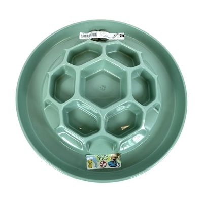 Heureux animal de compagnie fou des animaux de compagnie alimentant un seau en nid d'abeille lent Sage Sage Green