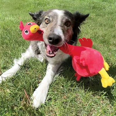 Kong Shakers Bobz Duck avec bip vert