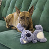 Kong scrumplez koala peluche avec bip gris