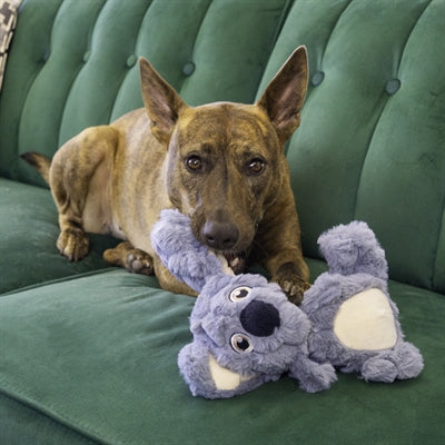 Kong scrumplez koala peluche avec bip gris