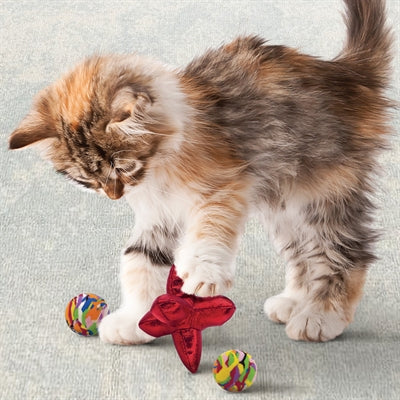 Kong Cat Active Jacks Stututerbal Multipack avec Catnip Red