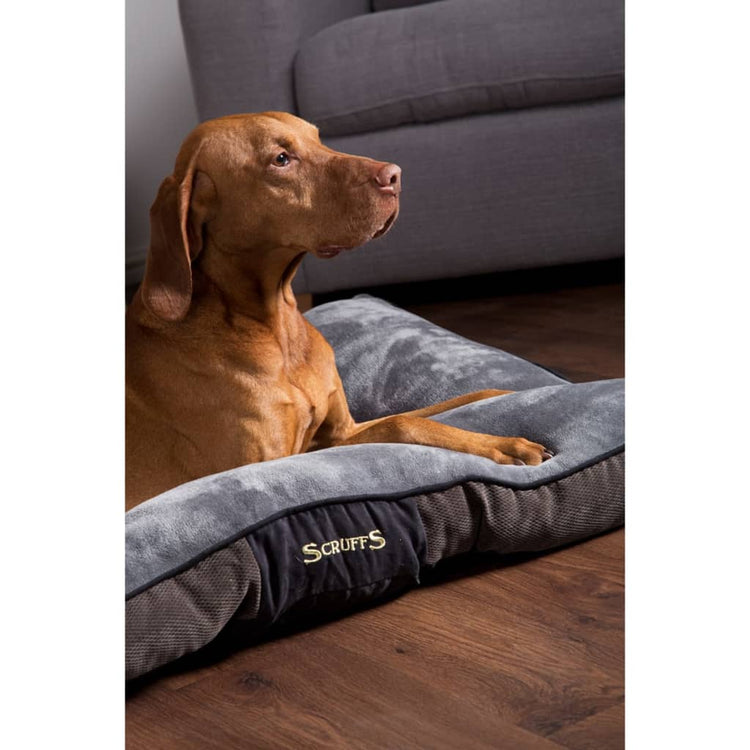 Scuffes Tramps Secriffs Tramps Pet Cushion Chester Grey Taille M 1160