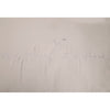 BEEZTEES BEEZTEES COSCHION CURIRA 100X70 GARI