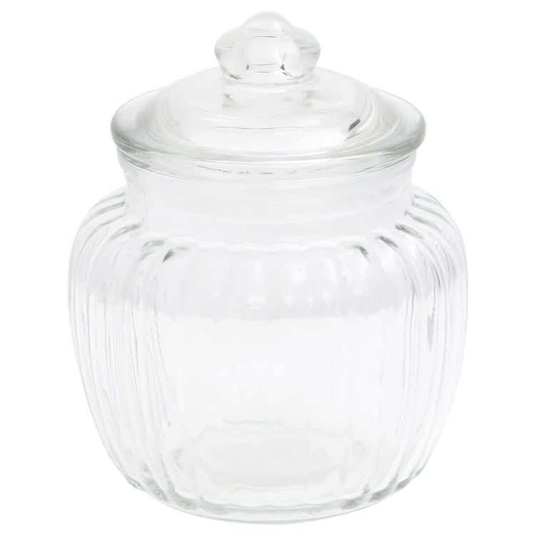 Vidaxl Pots de stockage 6 st 500 ml de verre