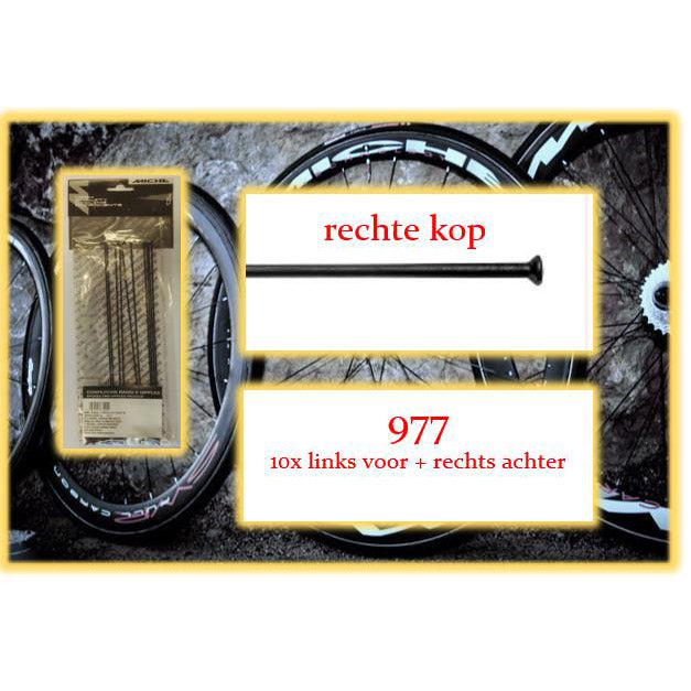 Miche Spaak + Nip. 10x LV + RA 977 tête droite