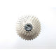 Xtrabike Cassette Xtrabike 12V 12-34 Shimano