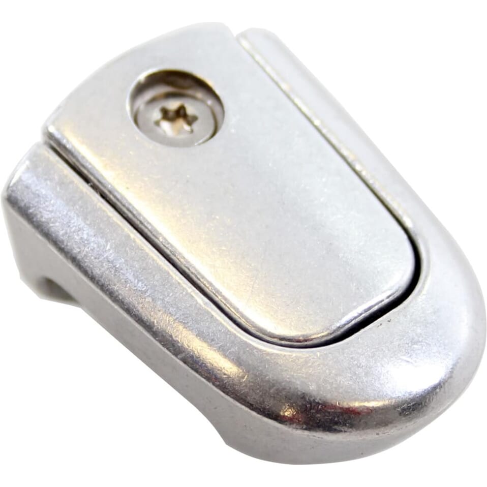 Nez de Brooks C19 Cambium