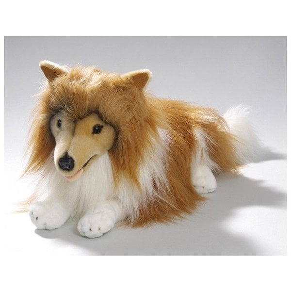 Collie allongé 45cm
