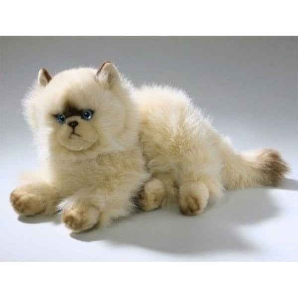 Cat persan allongé 30 cm