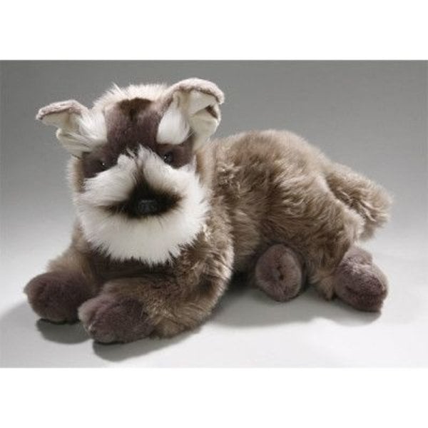 Schnauzer au mensonge 37 cm