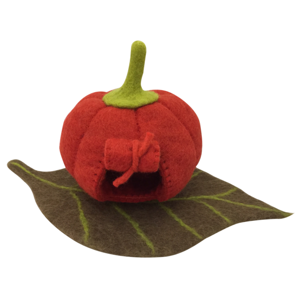 Papoose Toys Fairy Pumpkin House and Mat