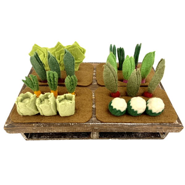 Papoose Toys Grow-A-Garde 24pc