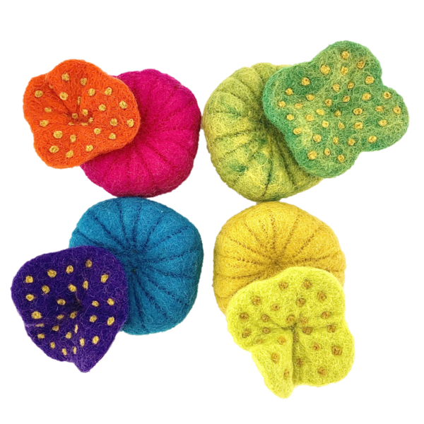 Papoose Toys Hidey-trous 4pc