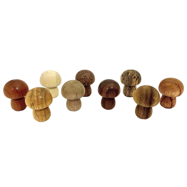 Papoose Toys Mini WW Champignons 9pc