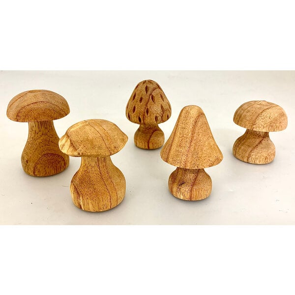 Papoose jouets champignons sculptés à la main 5pc
