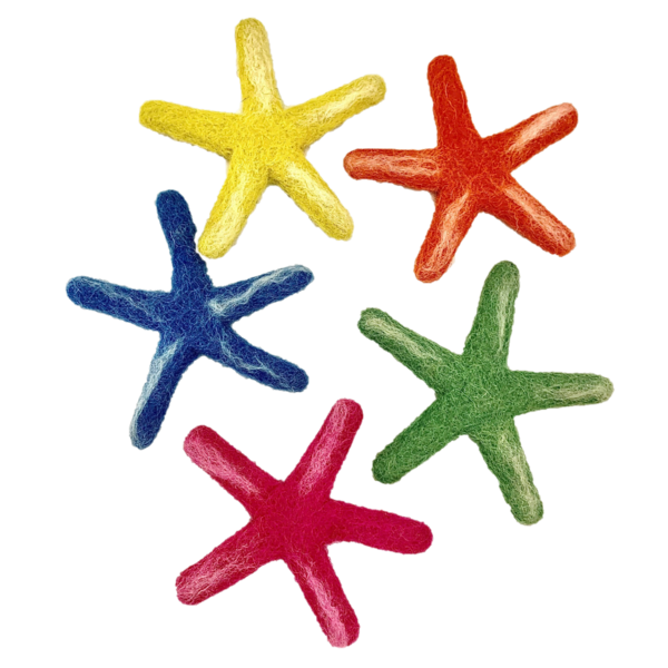 Papoose Toys Star de la mer Laenvtyata 5pc