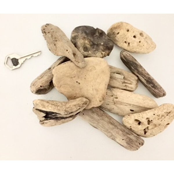 Papoose Toys Small Driftwood 10pc