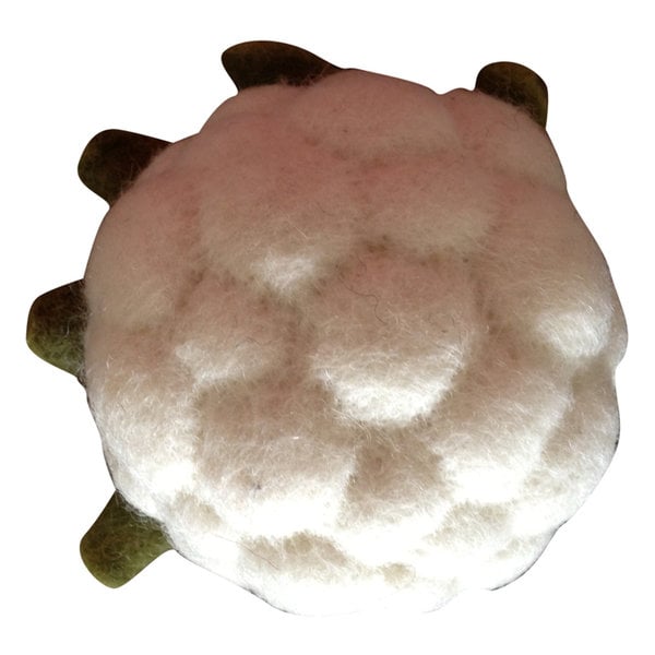 Papoose Toys Vegetable Chouflower