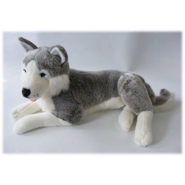 Husky en peluche 60 cm