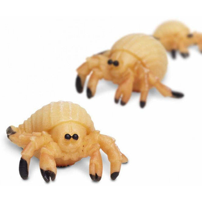 Safari Heremietkreeften Play Set 2,5 cm 192 pièces