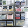 Smartstore Dry 31 Boîte de rangement 33 litres de gris de polypropylène