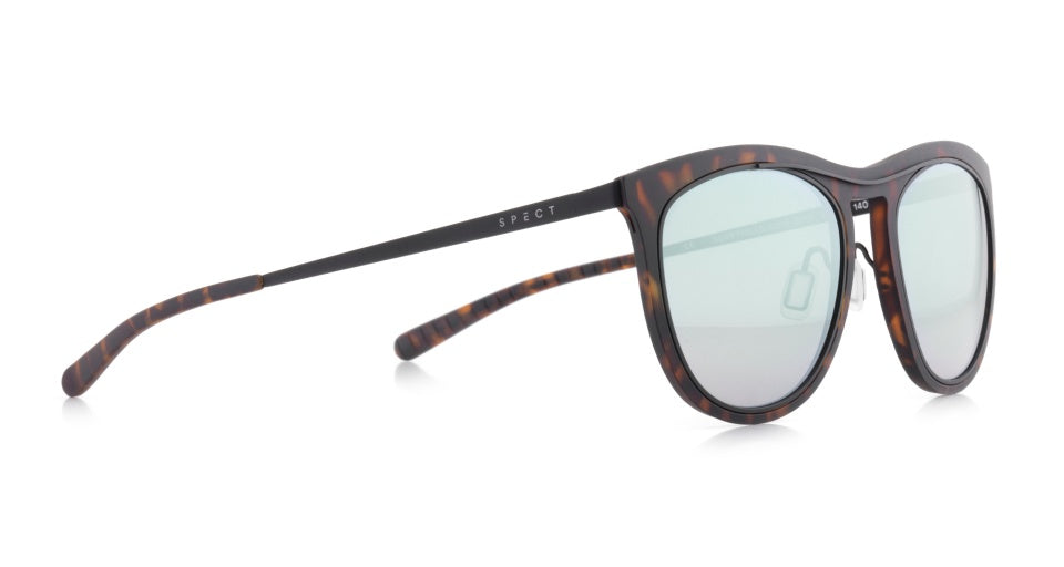 Lunettes de soleil Surryhills Unisexe Square Brown Green