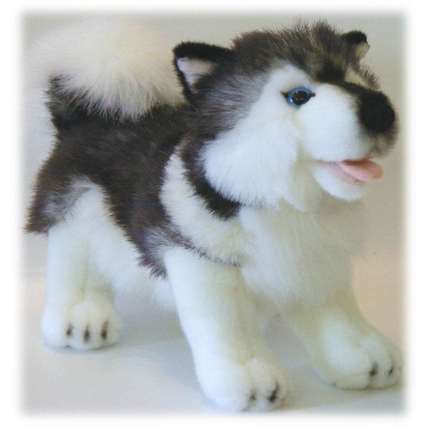 Husky debout 25 cm