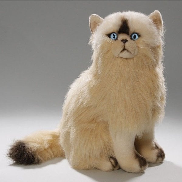 Chat persan assis 30cm