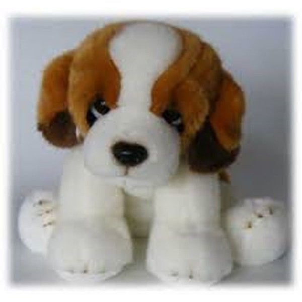 Sint assis Bernard 24cm